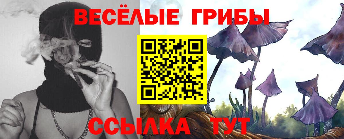 Богородск  Галлюциногенные грибы ЛСД  Вход с VPN  Псилоцибиновые грибы Cubensis 